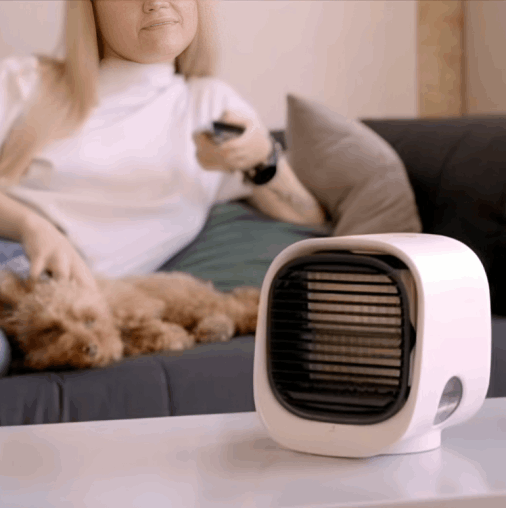 FrostyPure Mini Portable Cooler customer review Rachel